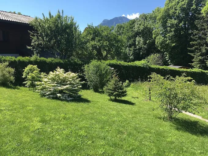 Jardin paysager réalisé par Emma Paysages en Savoie
